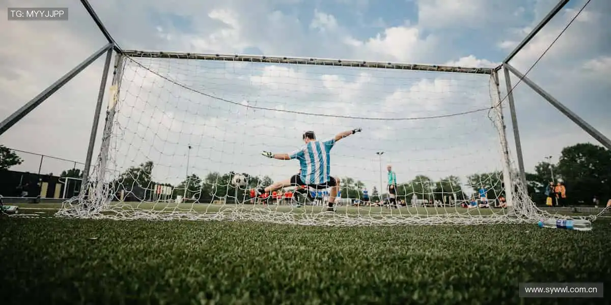 🏆【限量首发】冠军同款，专属你的荣耀珍藏！